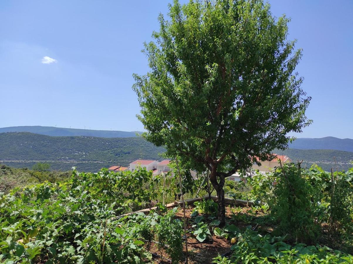 One Bedroom Apartment Gogo With Private Parking Neum Kültér fotó