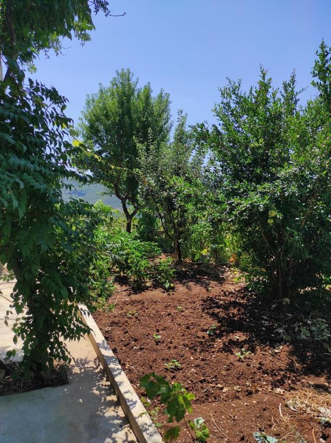 One Bedroom Apartment Gogo With Private Parking Neum Kültér fotó